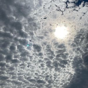 Meet your Posher, Dalton